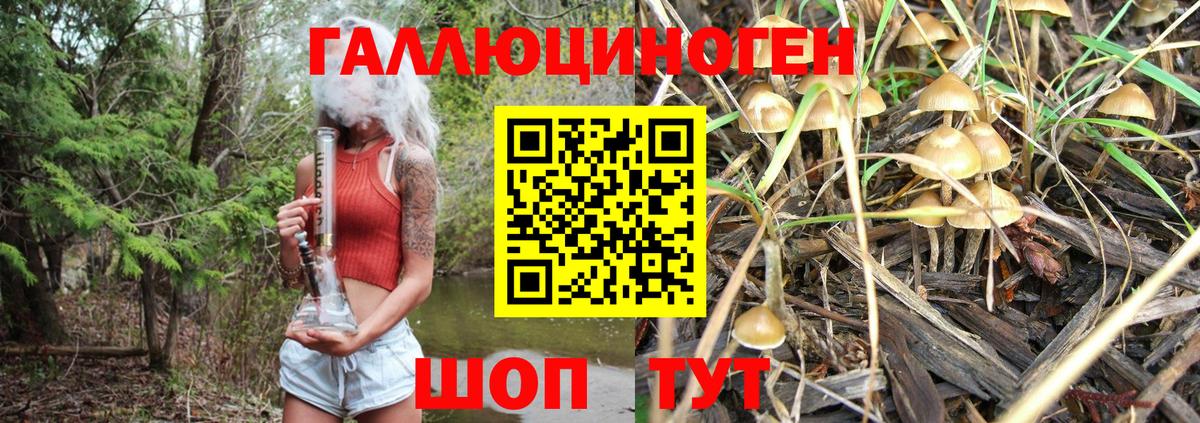Галлюциногенные грибы Cubensis  Вход с VPN  Сургут 