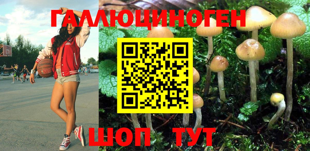 Меф МЯУ МЯУ кристаллы  ГАШИШ  Марихуана  Сургут  ЭКСТАЗИ  MDMA  Вход с VPN  Конопля  COCAIN  APVP СК кристаллы 