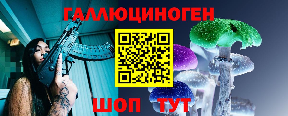 Псилоцибиновые грибы Cubensis Сургут
